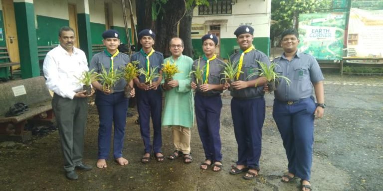 St. Stanislaus Scouts – Tree Plantation Program