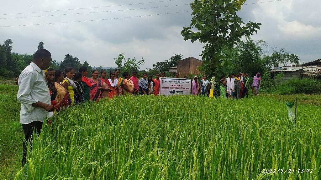 Photo 1: Farmer Field Schools – for demonstrating various package of practices in Agriculture Development.