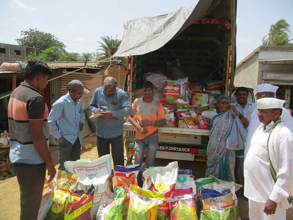 Paddy Seed Sale