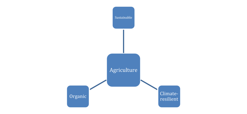 Sustainable Agro Ecology