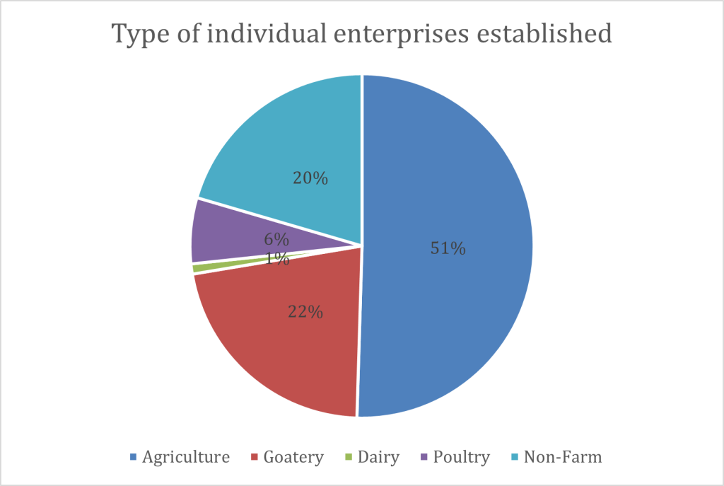 Type Of Individual Enterprises Established