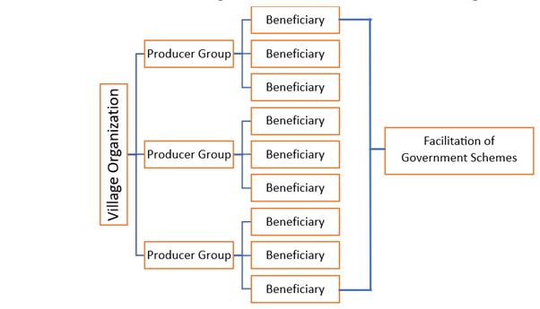 Village Organization
